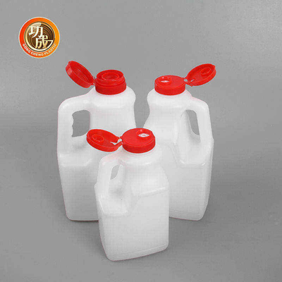 Douanehdpe Fles van de Voedsel de Plastic Sojasaus met Handvat